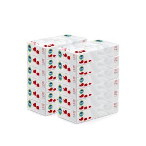 Farla Medical Facial Tissues - Pack of 12 Tissue Boxes,  Bulk Buy 2-ply, 1200 Count (12 Pack of 100), White